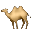 🐫